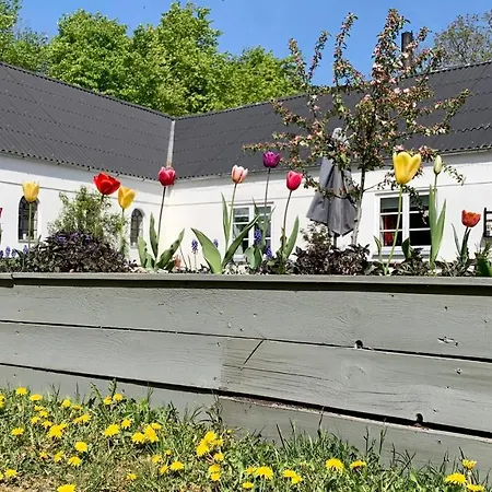 Bed & Breakfast Gaestehus Klintegaarden *