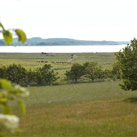 Gaestehus Klintegaarden Tolstrup