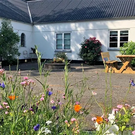 Gaestehus Klintegaarden Bed & Breakfast
