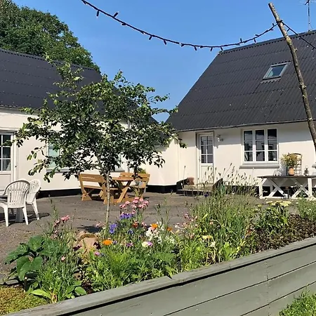 Gaestehus Klintegaarden Bed & Breakfast Tolstrup