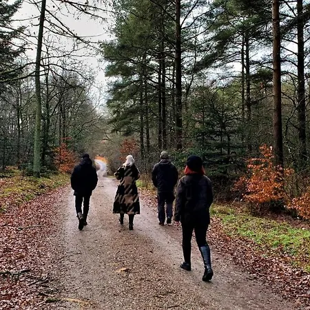 Gaestehus Klintegaarden *
