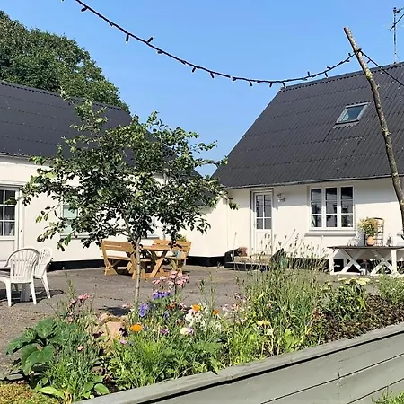 Gaestehus Klintegaarden Bed & Breakfast *