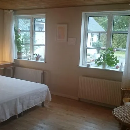 Gaestehus Klintegaarden לינה וארוחת בוקר *